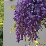 住宿加早餐酒店 Il Segnalibro Serravalle d'Asti