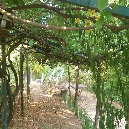 Il Segnalibro Bed and breakfast Serravalle d'Asti