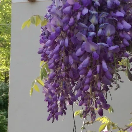 Bed and breakfast Il Segnalibro Serravalle d'Asti